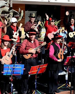 The Village Strummers